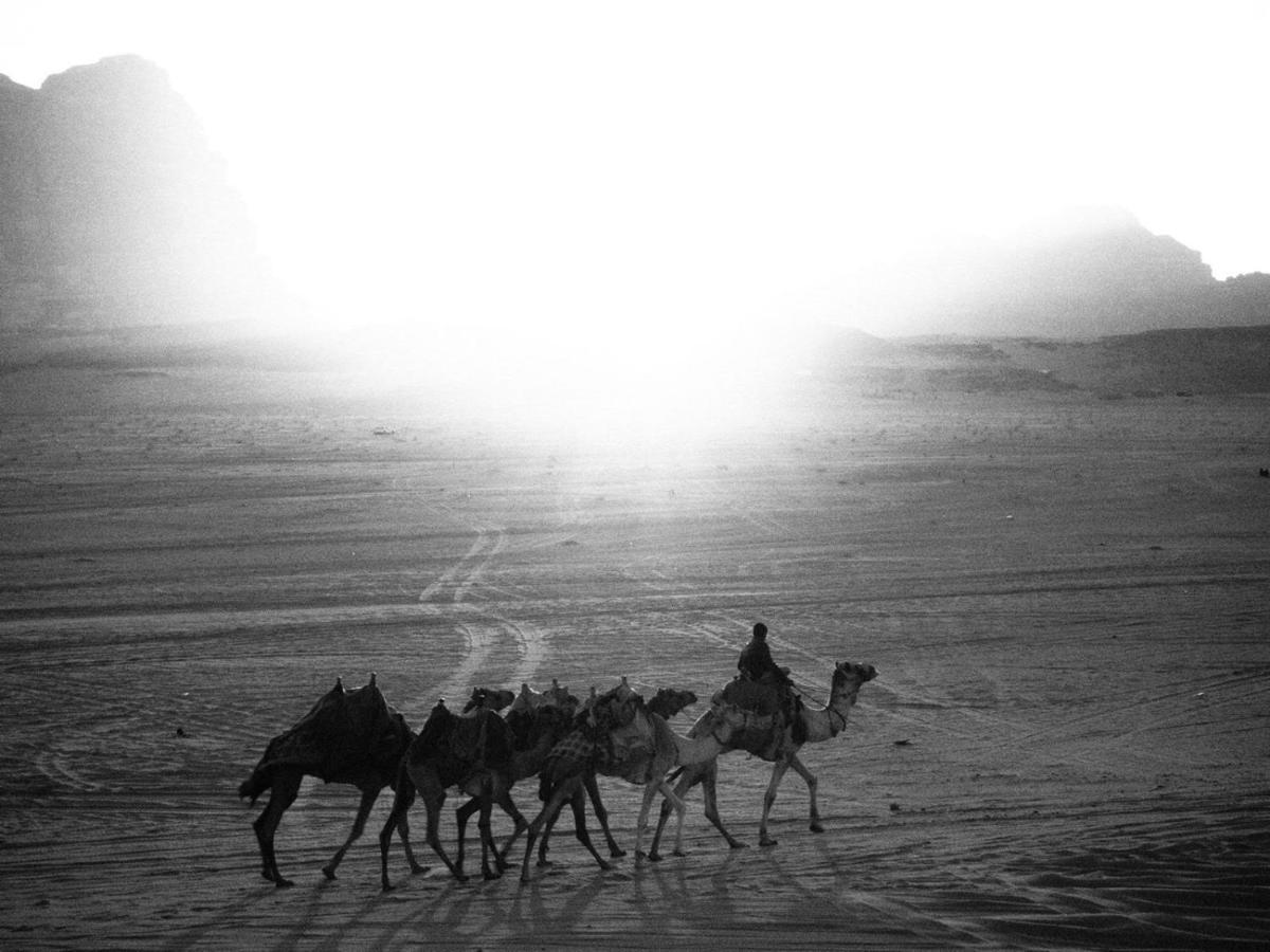 White Desert Camp 와디럼 외부 사진
