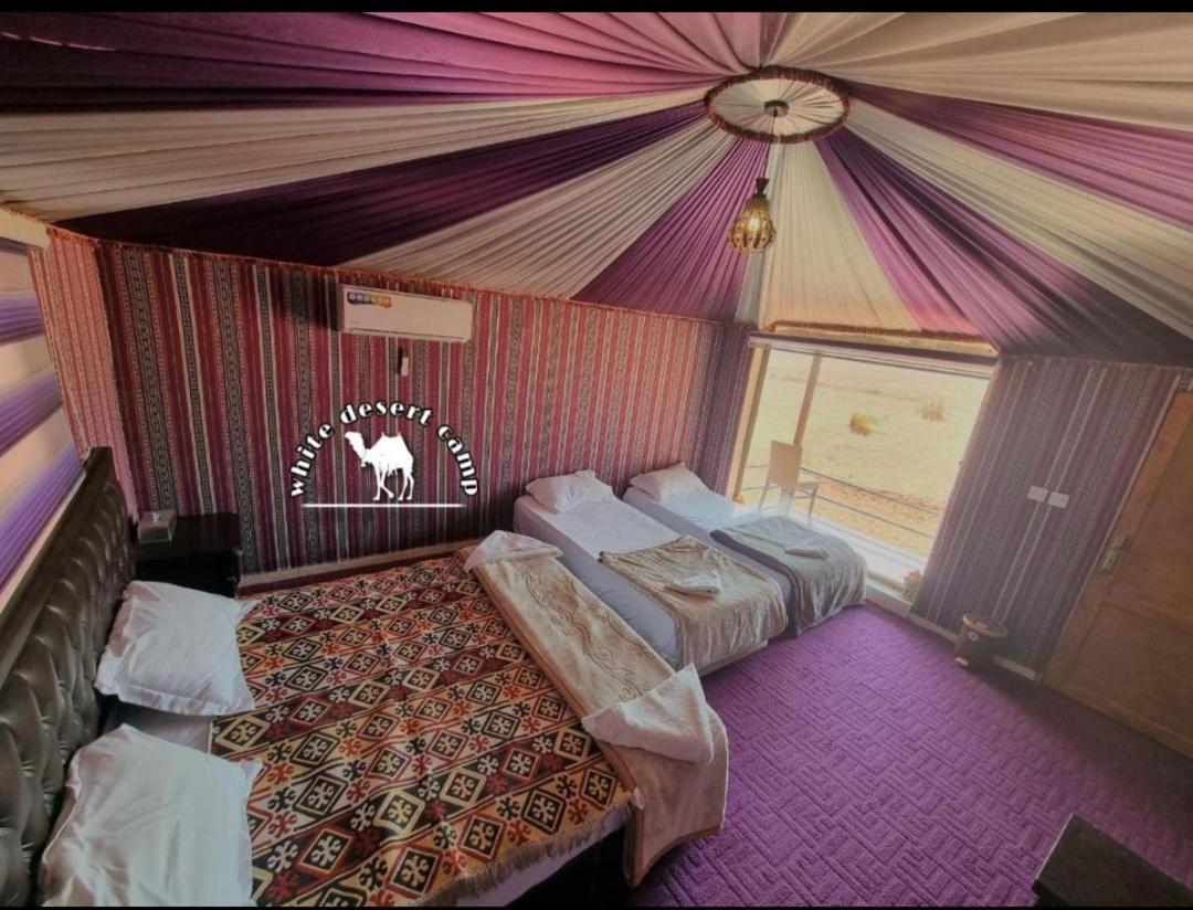 White Desert Camp 와디럼 외부 사진